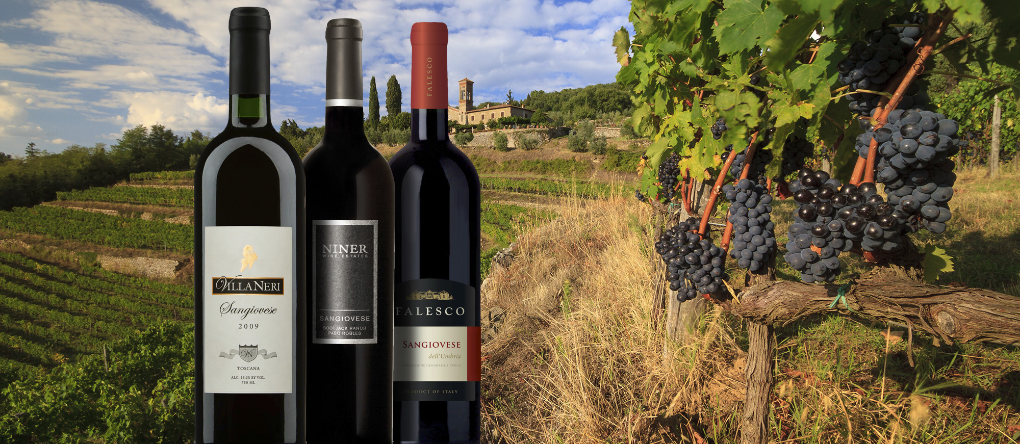 50 Most Popular Italian Red Wines TasteAtlas, 51% OFF