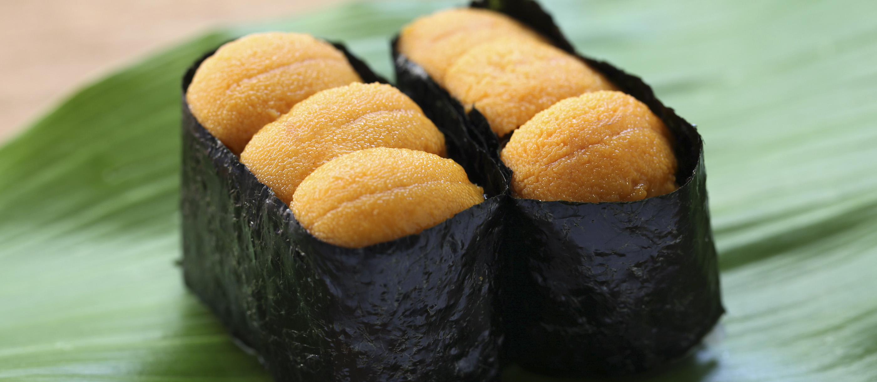 How Sea Urchin (Uni) Is Processed Commercially — How to Make It