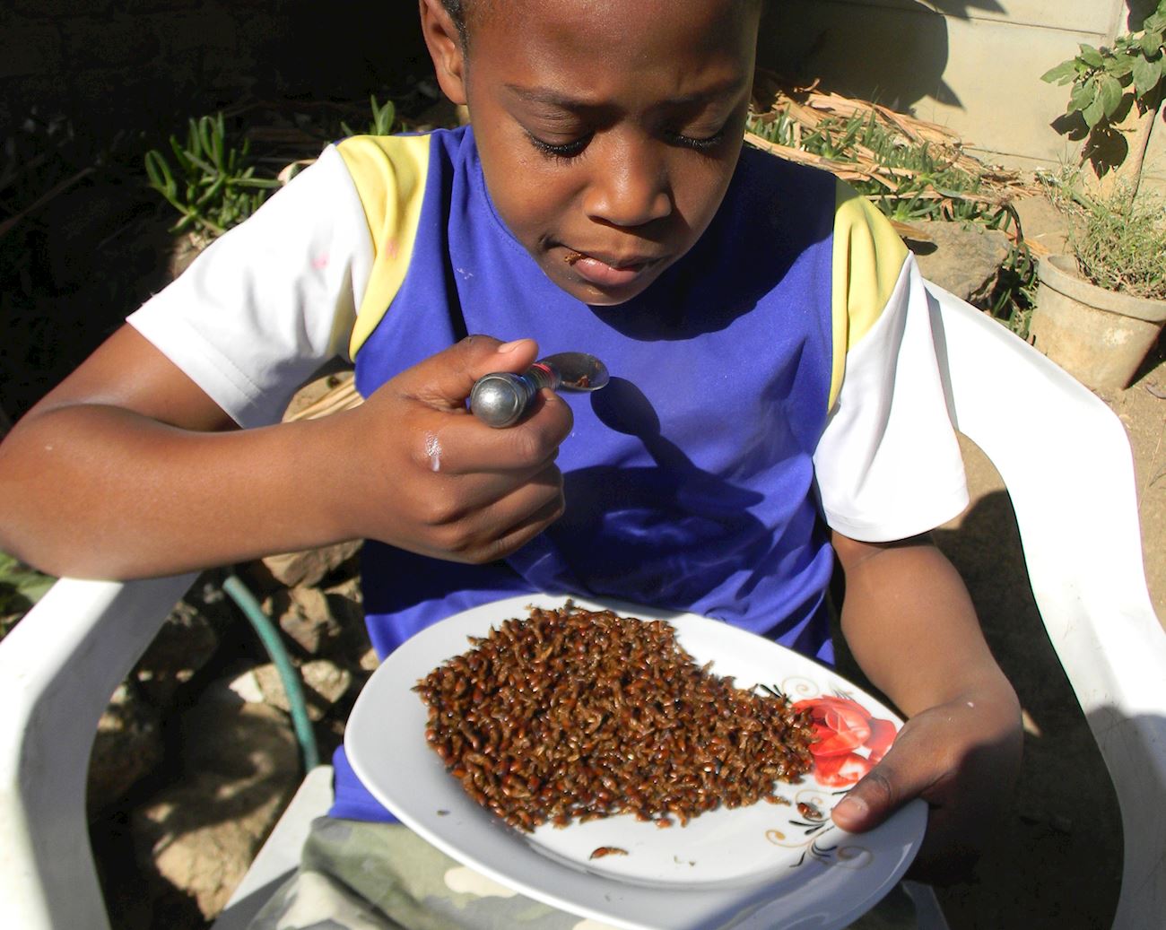 Inswa Insect Nswaa | Traditional Insect Dish From Uganda
