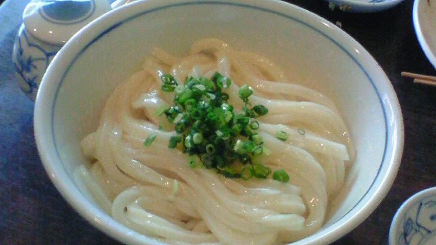 Kijoyu Udon | Traditional Noodle Dish From Kagawa Prefecture, Japan