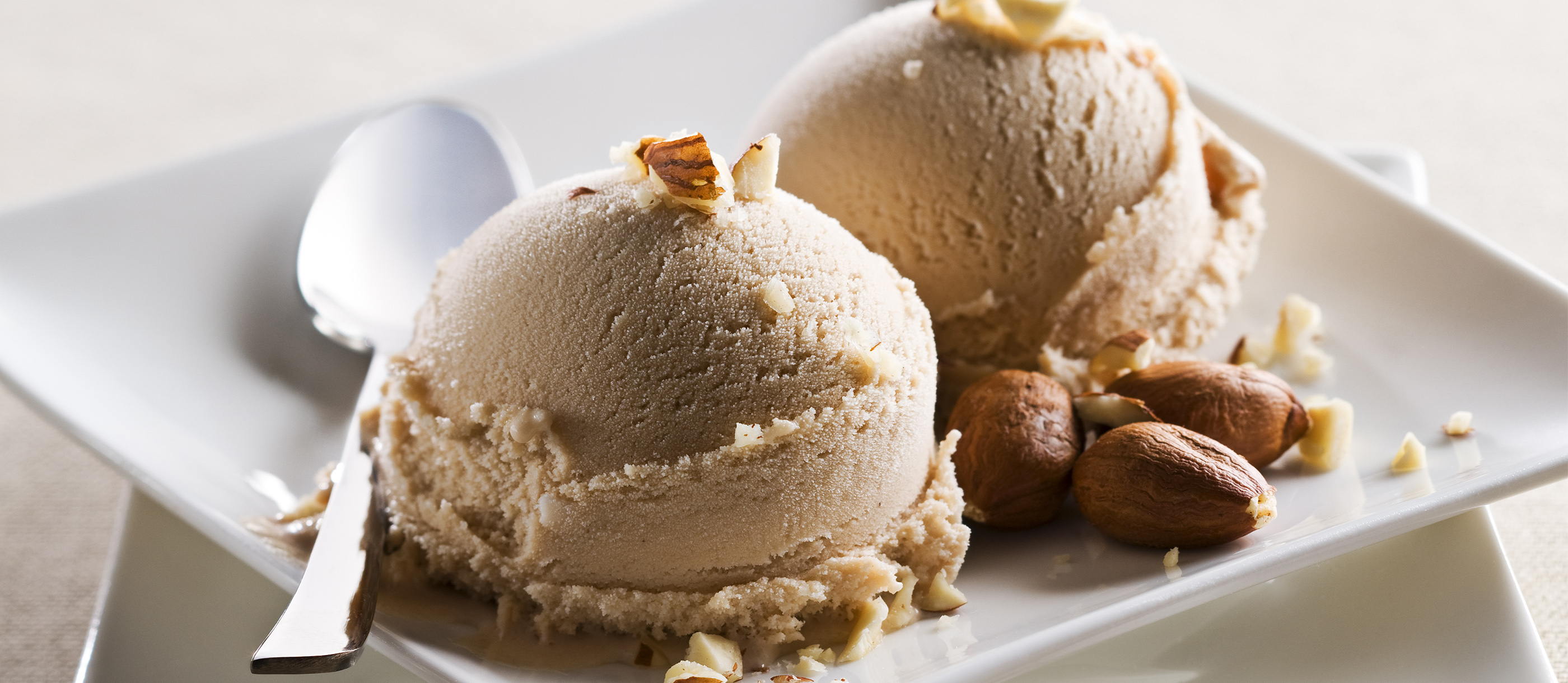 Gelato Alla Nocciola | Traditional Ice Cream From Italy, Western Europe