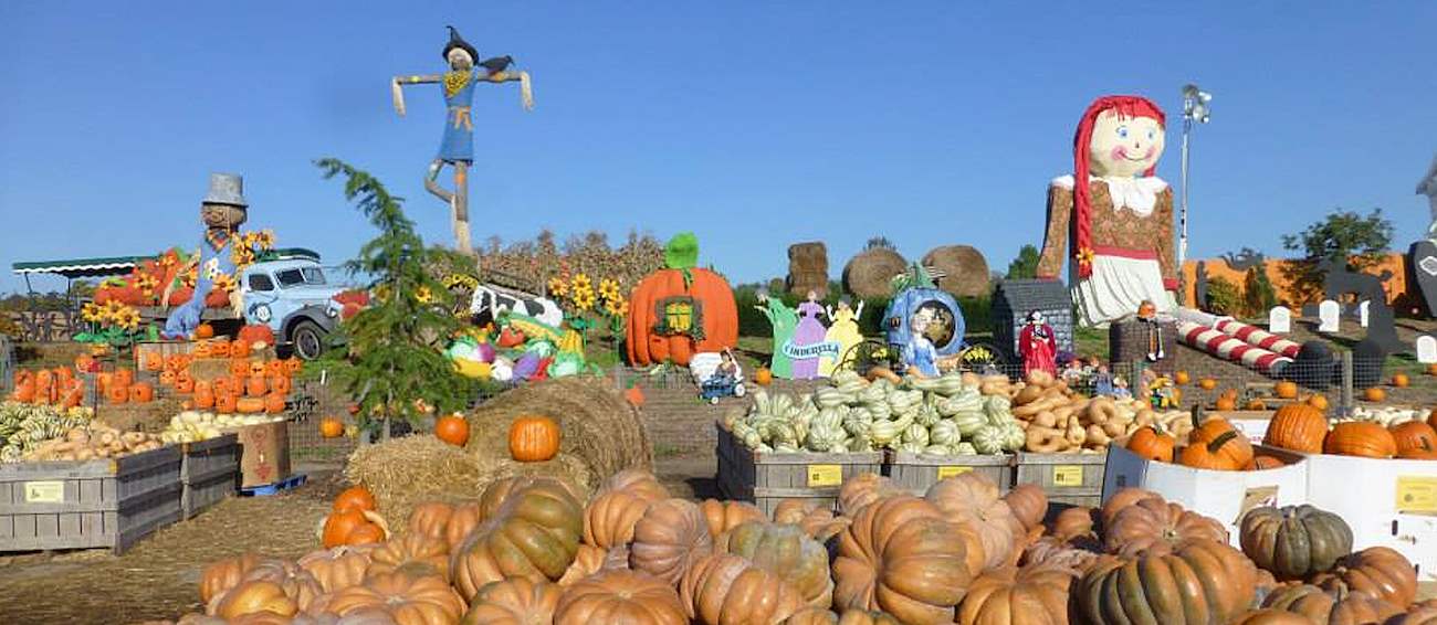Linvilla Orchards Pumpkinland | Fruit festival in Media | Where? What ...