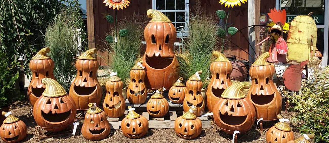 Linvilla Orchards Pumpkinland | Fruit festival in Media | Where? What ...