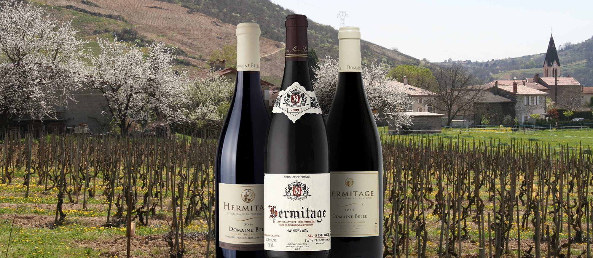Hermitage Rouge | Local Wine Appellation From Drôme, France