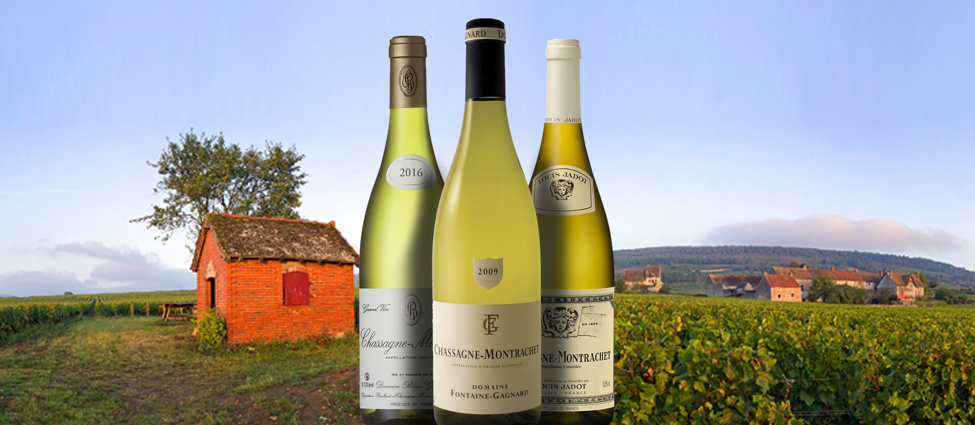 Chassagne-Montrachet Blanc | Local Wine Appellation From Côte-d'Or