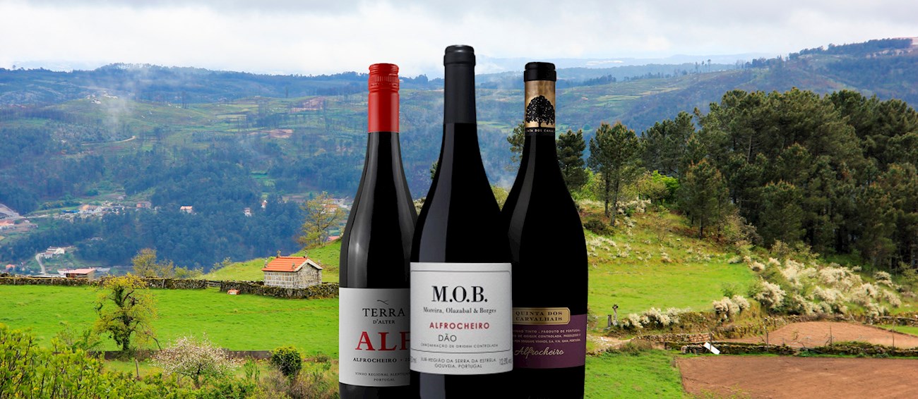 Alfrocheiro Local Wine Variety From Viseu District, Portugal