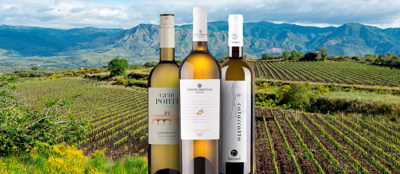 Quasale Catarratto Wine 75 CL main image 1