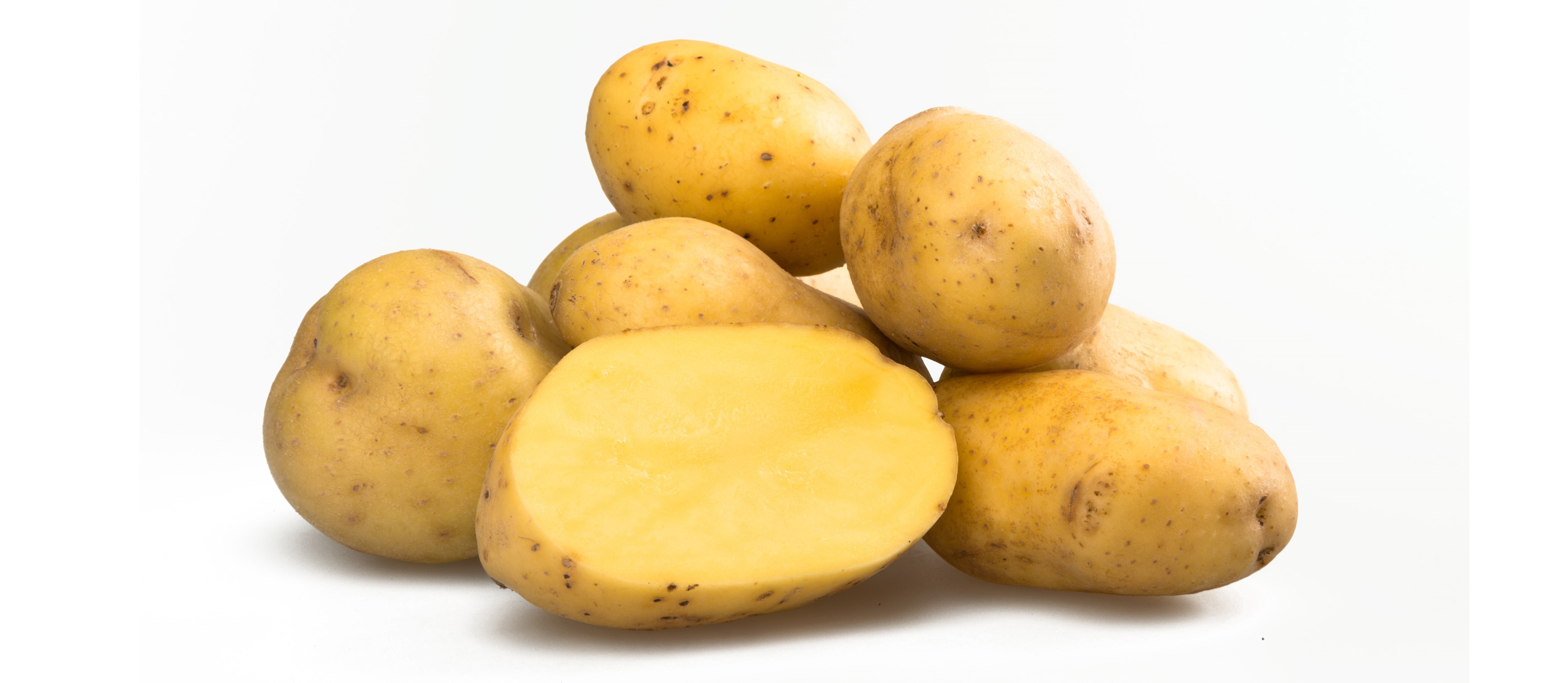 Yukon Gold Casino Image