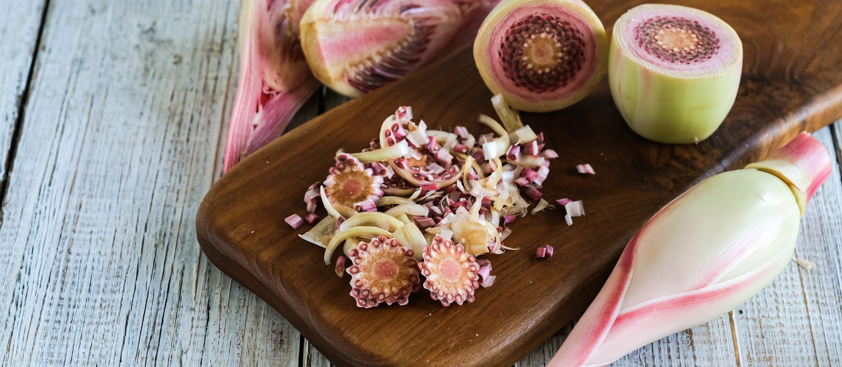 Kecombrang | Local Flower From Indonesia, Southeast Asia