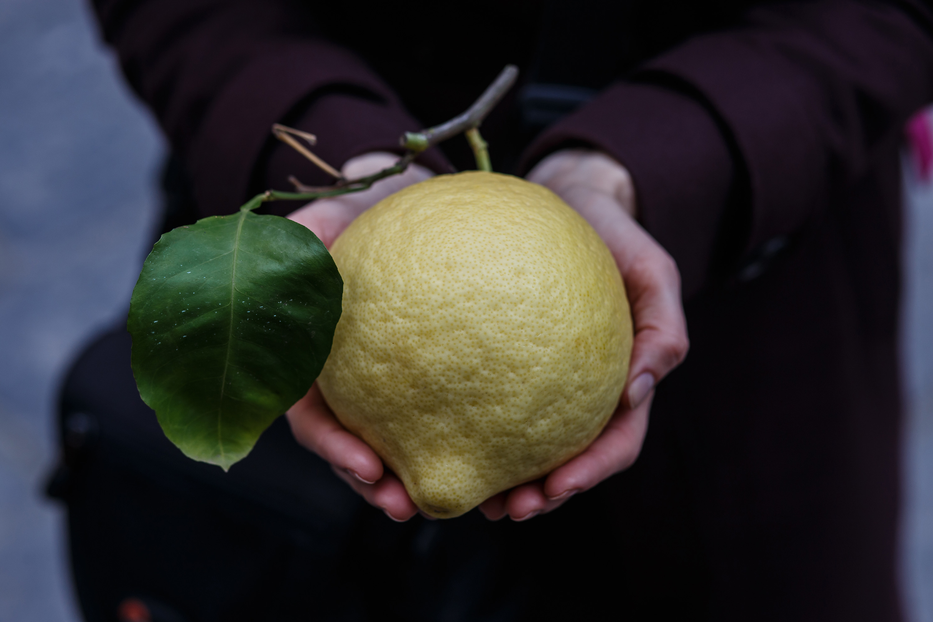 10 Different Types of Lemons