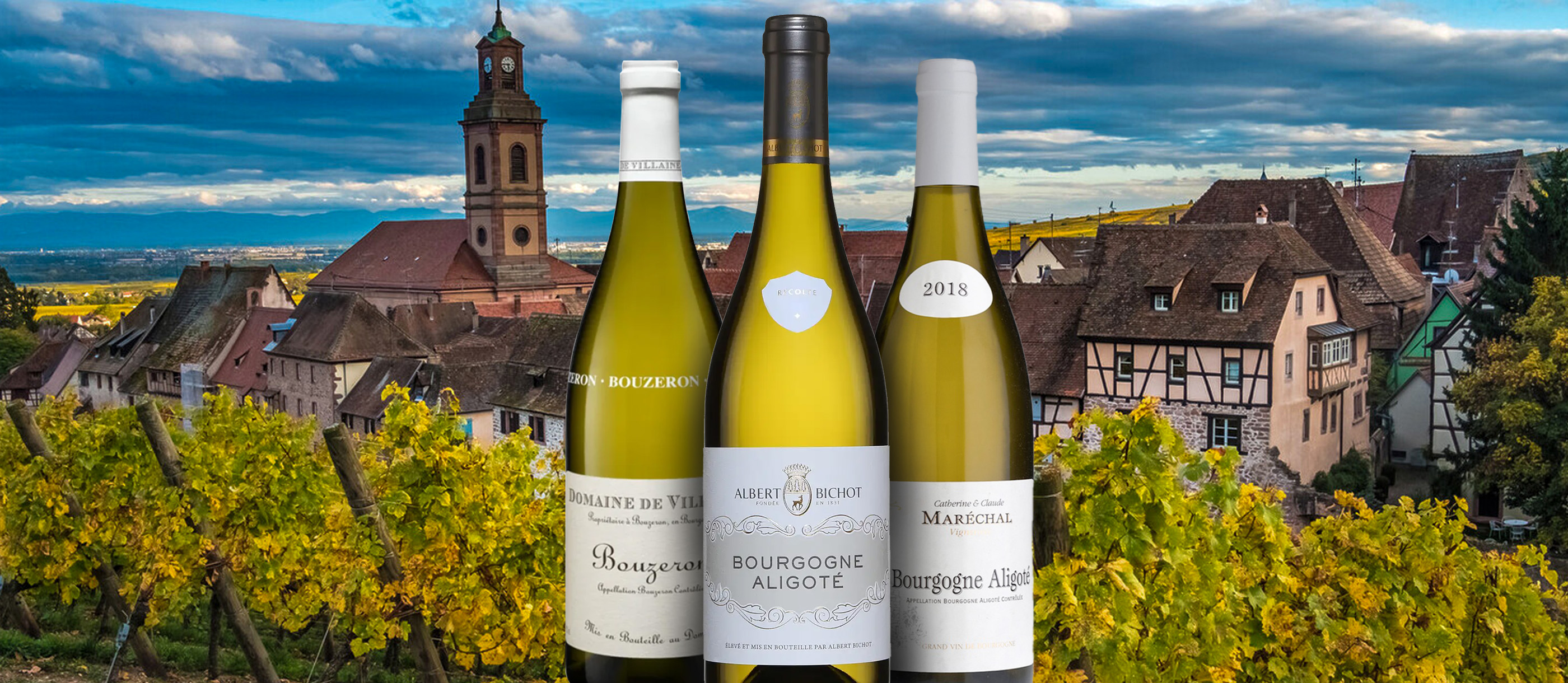 Aligoté | Local Wine Variety From Burgundy, France