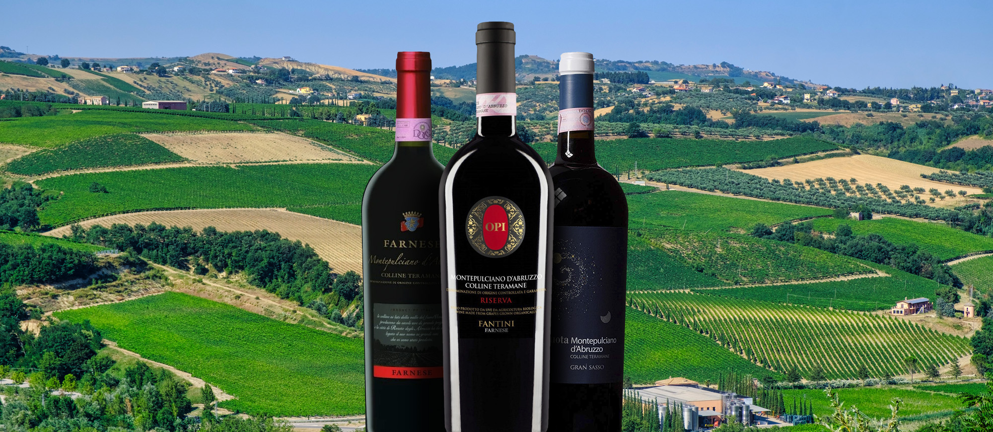 Montepulciano D'Abruzzo Colline Teramane | Local Wine Appellation From  Province of Teramo, Italy, image size:2000x871