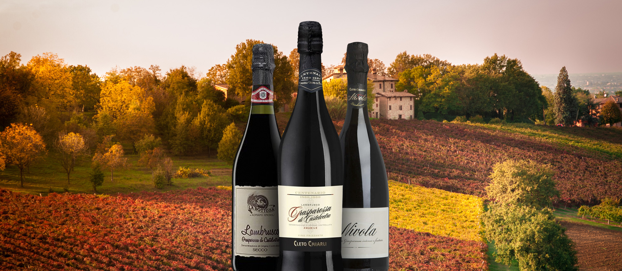 Lambrusco Grasparossa di Castelvetro | Local Wine Appellation From