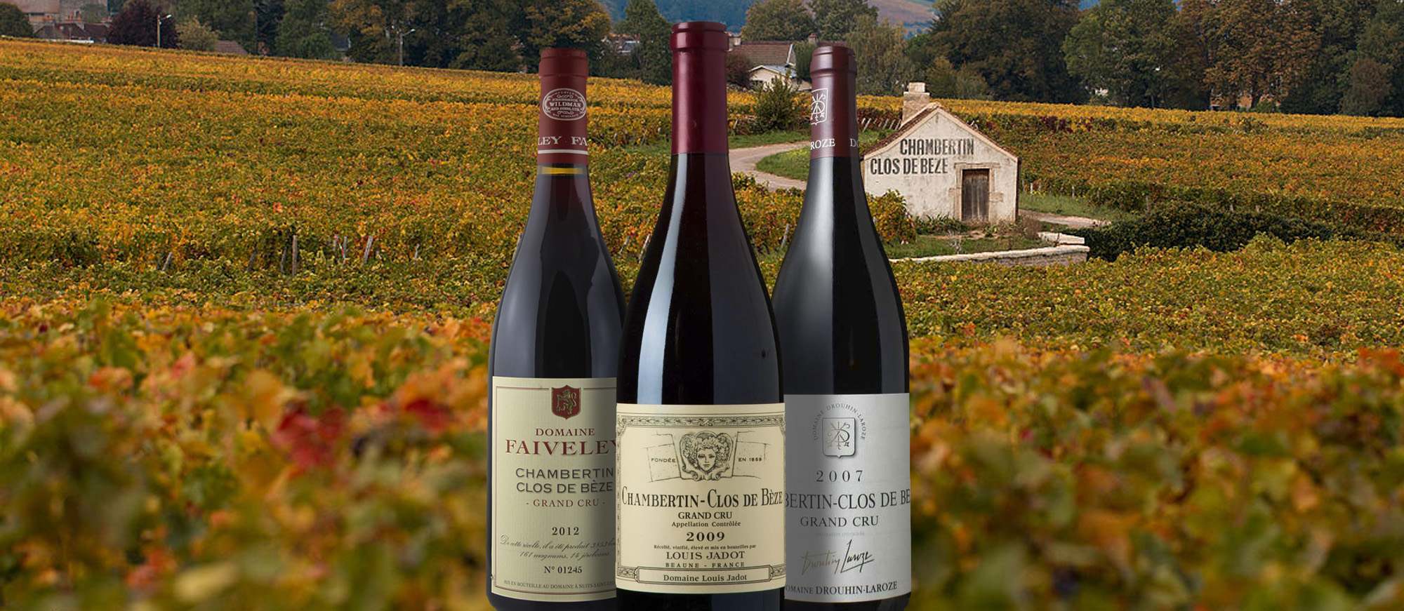 Chambertin-Clos de Bèze | Local Wine Appellation From Côte-d'Or