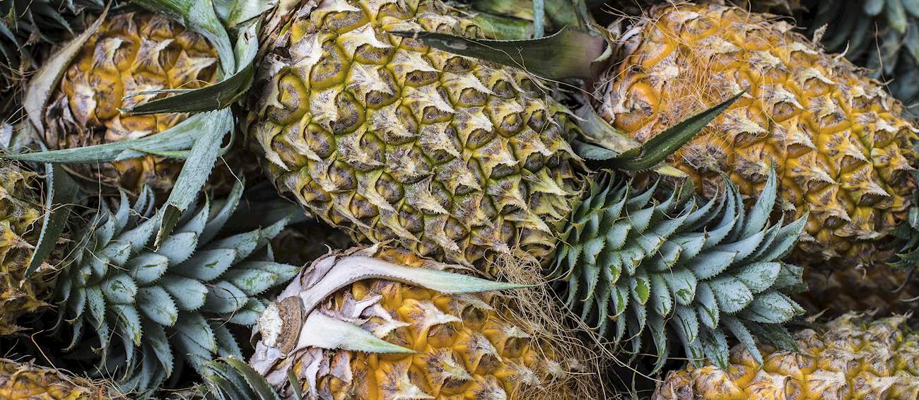 Antigua Black Pineapple | Local Pineapple From Antigua and Barbuda ...
