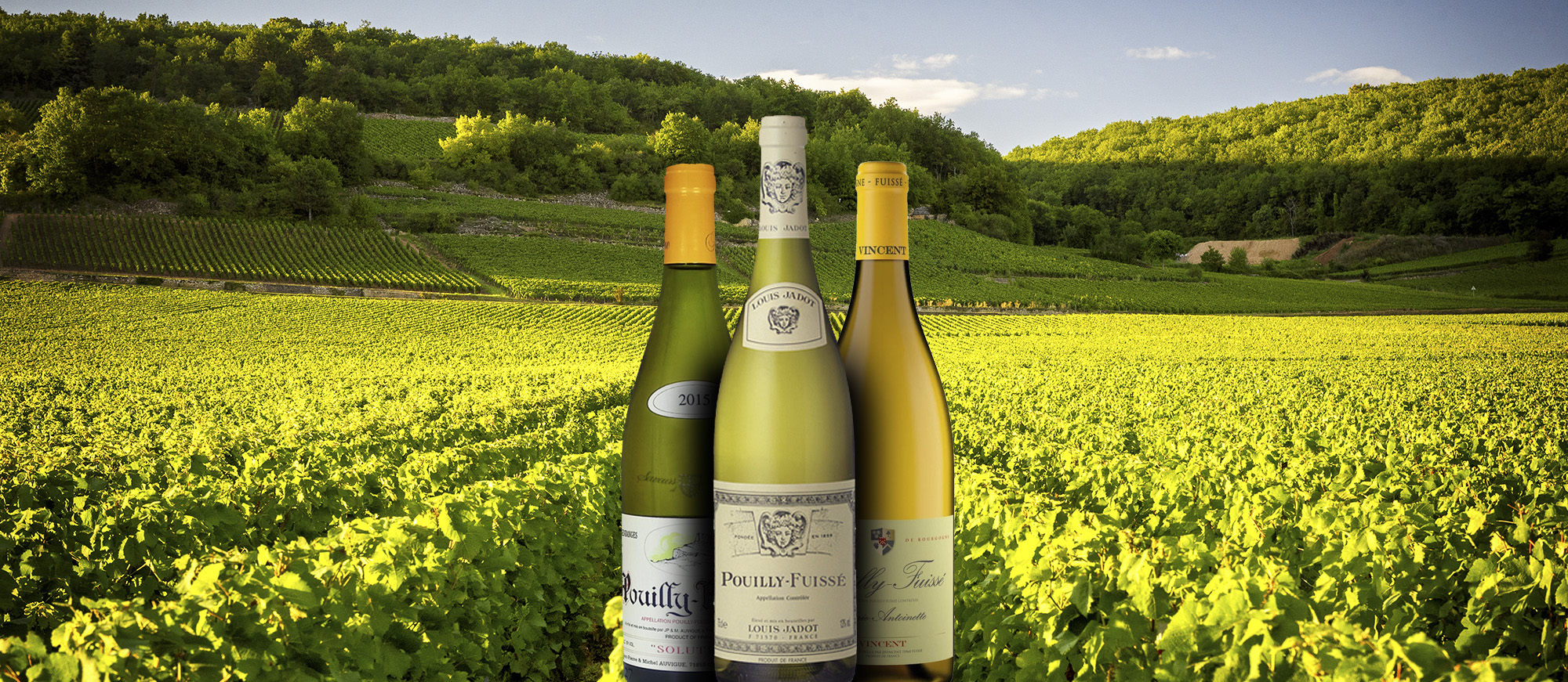 Pouilly-Fuissé | Local Wine Appellation From Saône-et-Loire Pouilly-Fuissé | Local Wine Appellation From Saône-et-Loire