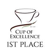 1st Place